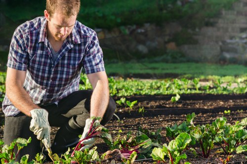 Gardener preparing a safety plan in the park
